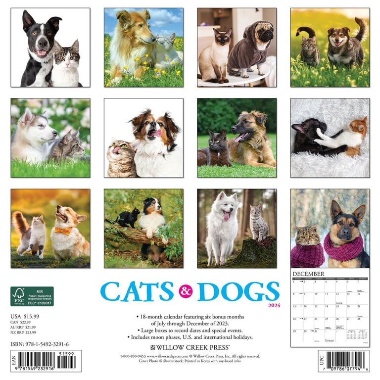 Cats & dogs 2024 12 x 12 wall calendar (other) - walmart.com
