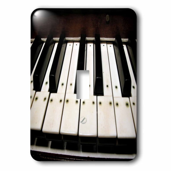 3dRose, Piano Keys, single toggle switch