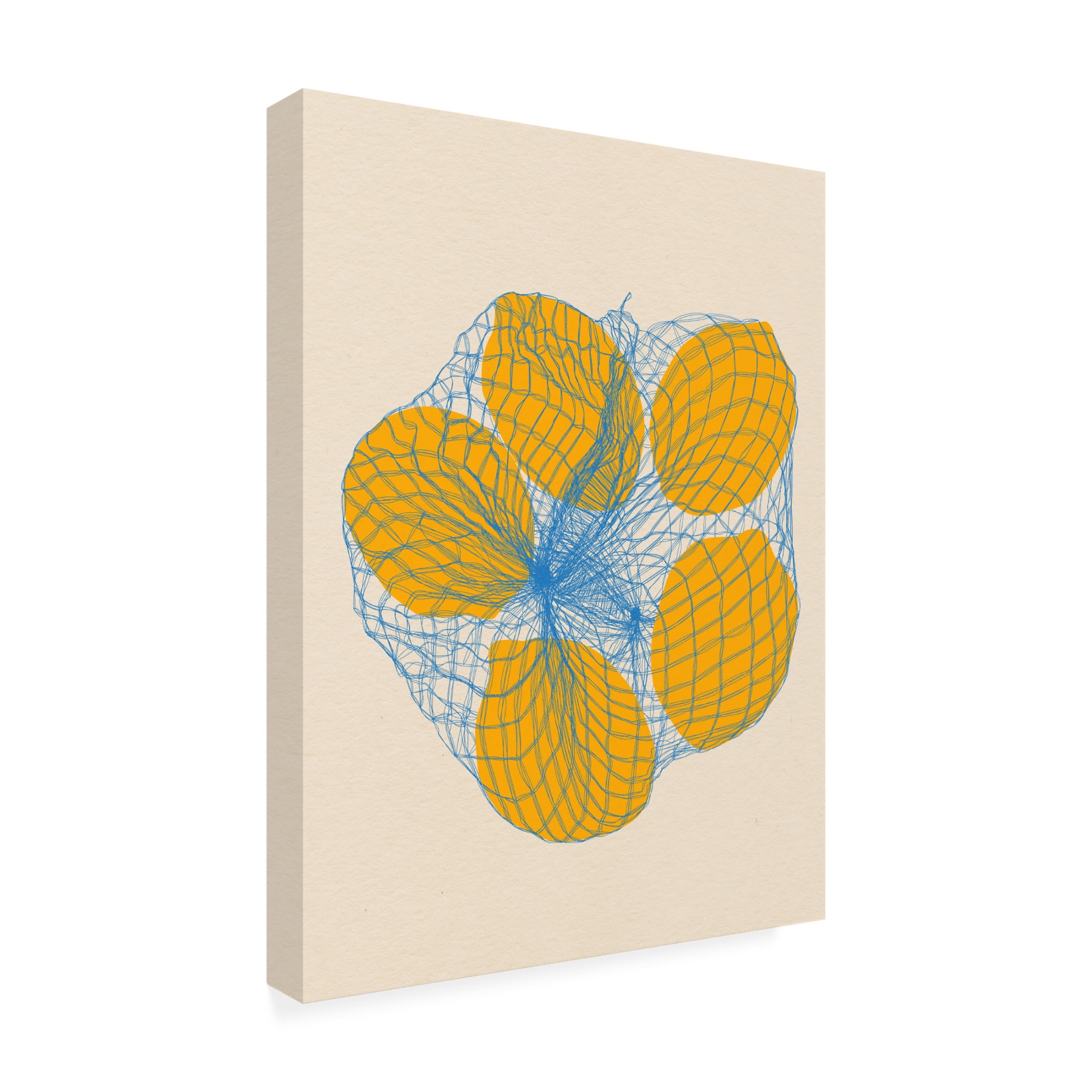 Trademark Fine Art Rosi Feist  Five Lemons In a Net Bag Canvas Wall Art