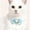 Blue Size M Q2, variant on Pet Collar, Gaqring Princess Pearl Bow Choker Necklace, Adjustable Plastic Pet Accessory for Small Medium Dogs Cats Photo Shoots Parties, Pink