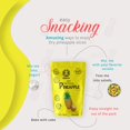 thumbnail image 3 of Akshit Dried Pineapple Chunks, Healthy Snack, Non-GMO, Caffeine-free,  3 Count, 3 of 13