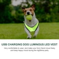 thumbnail image 4 of 1 juego de chaleco luminoso LED para perros, transpirable, con carga USB, para mascotas., 4 of 5