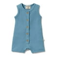 thumbnail image 1 of Wilson+Frenchy Organic Rib Growsuit - Sky Blue (0-3 Months, 4-6 Kg), 1 of 5