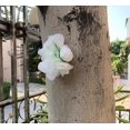 thumbnail image 2 of Leis hawaianos YONGSHENG 4 piezas blancos con hojas verdes para fiesta de graduación, 2 of 5