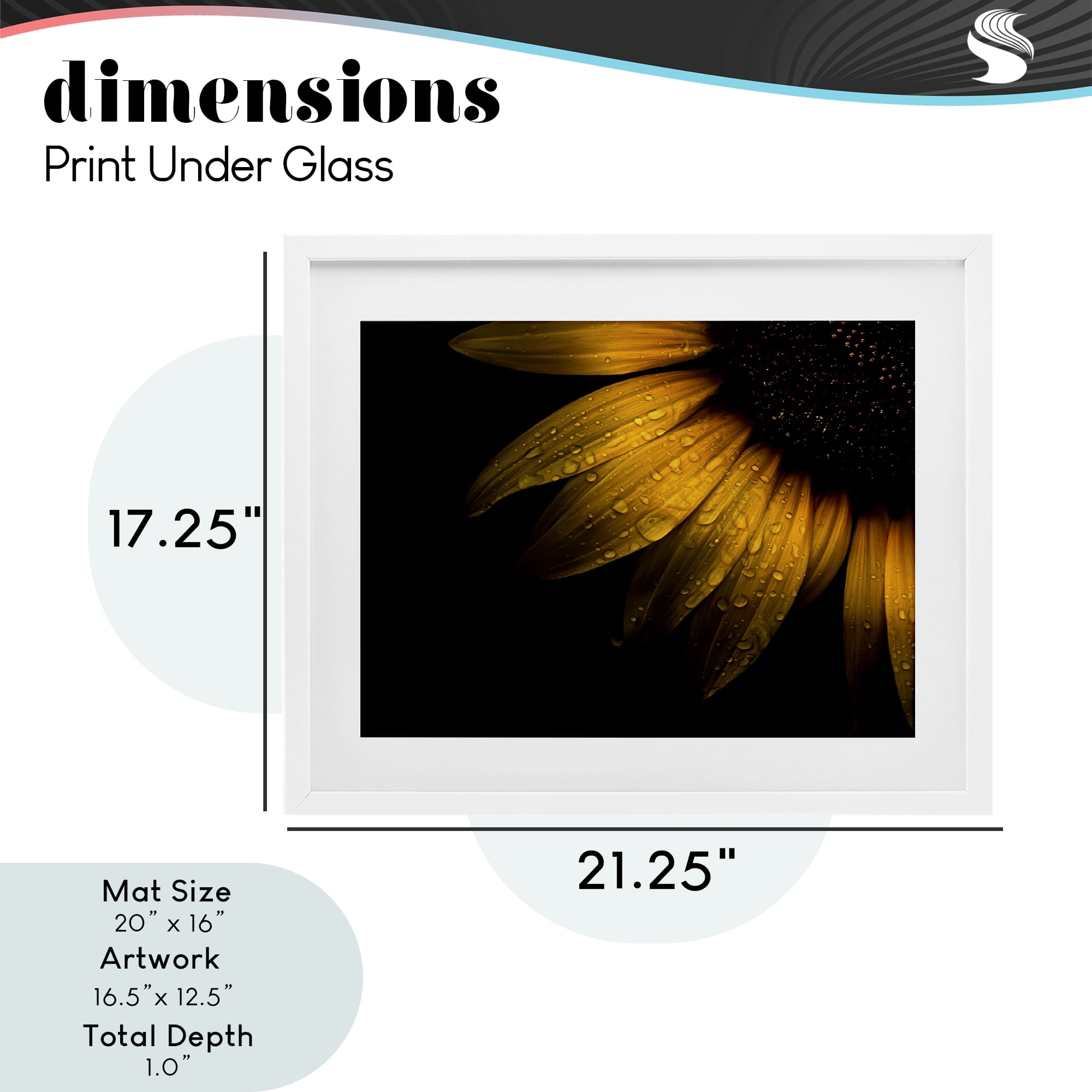 Water Droplets on Sunflower White Framed Print Under Glass, design by Brian Carson Photography