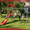 Orange-Red, variant on Mersco Metal Treehouse Swing Set with Slide,Heavy Duty Swing A-Frame Stand with 2 Belt Swings,Treehouse Slide with UV Resistant Canopy and Ladder,Outdoor Playset Slide Swing Set for Backyard