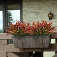 thumbnail image 2 of Zukuco Artificial Grass Fake Shrubs 8Pcs UV Resistant Greenery Faux Outdoor Plastic Plants for Home Patio Window Garden Hanging Flowers Pathway Front Porch Décor (Red), 2 of 6