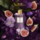 thumbnail image 2 of Perfume MANCERA Fig Me Up Eau de Parfum 120 ml para unisex, 2 of 7
