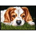 thumbnail image 1 of Carolines Treasures AMB1395JMAT Cavalier Spaniel Tapis Intérieur Ou Extérieur - 24 x 36, 1 of 4