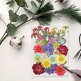thumbnail image 3 of Flores secas naturales Artesanía en relieve Ramos de flores prensadas Decoraciones florales secas Regalos de suministro de hogar para tarjetas de boda Vela Verano Scienceny HA010752-09, 3 of 7