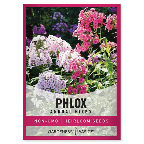 Mixed Phlox Seeds