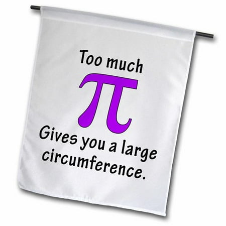 3dRose Too Much Pi Gives You a Large Circumference Polyester 1 6   x 1  Garden Flag