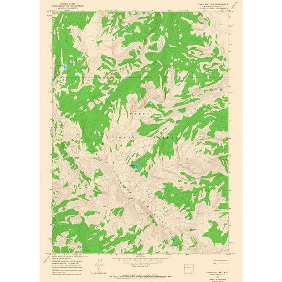 Topographical Map - Turquoise Lake Wyoming Quad - USGS 1965 - 23 x 31.94 - Vintage Wall Art
