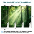 thumbnail image 3 of Peel and Stick Wallpaper Beautiful Forest Wall Mural Decor Tall Pine Trees Sunlight Beams Dense Modern Art Wall Mural Decor Self Adhesive and Removable 69in x 98in, 3 of 8