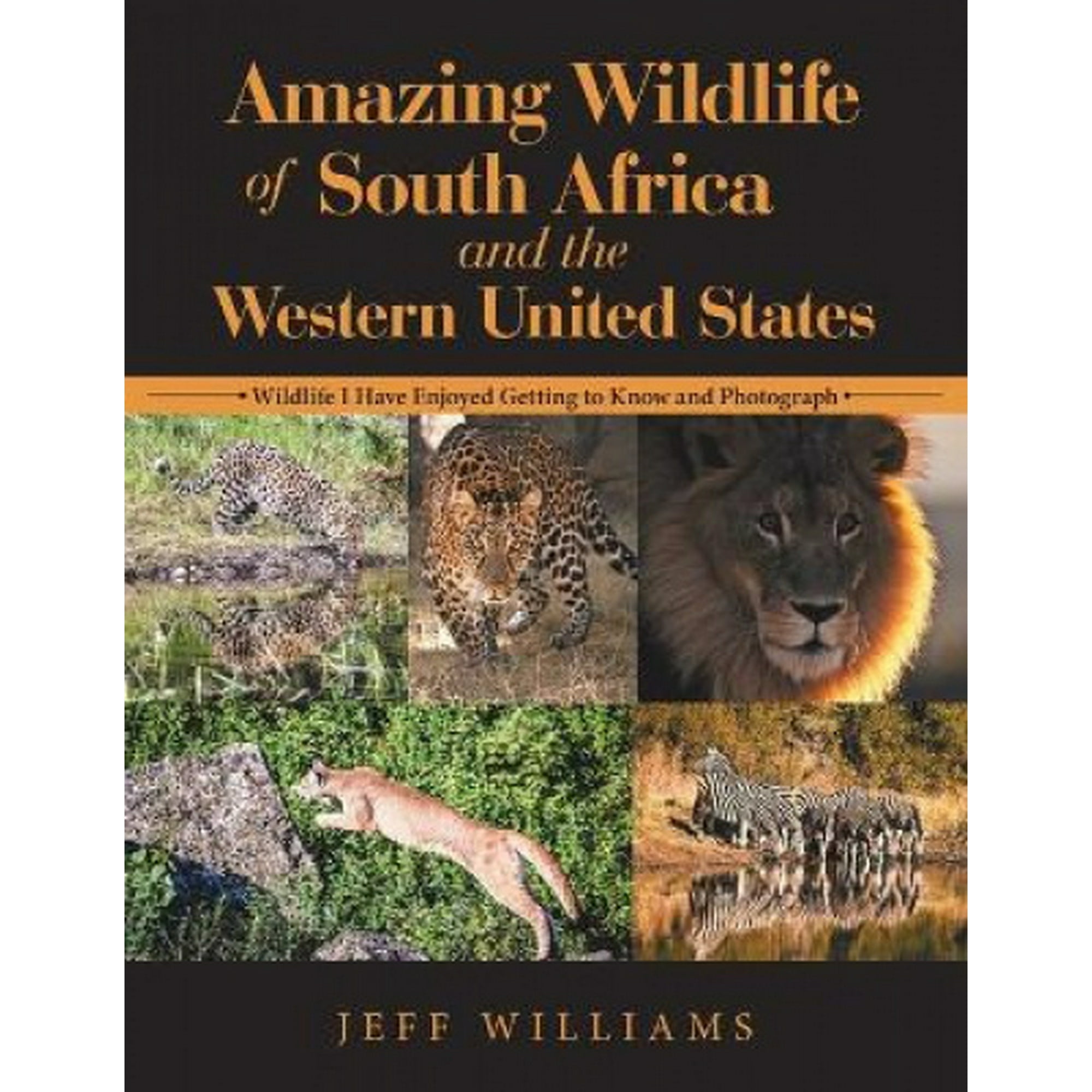 Amazing Wildlife of South Africa and the Western United States: Wildlife I Have Enjoyed Getting to Know and Photograph | Walmart Canada Amazing Wildlife of South Africa and the Western United States: Wildlife I Have Enjoyed Getting to Know and Photograph | Walmart Canada