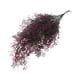 thumbnail image 5 of Bewildely 2 piezas colgantes plantas artificiales decoración plantas falsas hojas decorativas regalo de inauguración hogar dormitorio balcón Rojo purpura 2Conjunto, 5 of 6