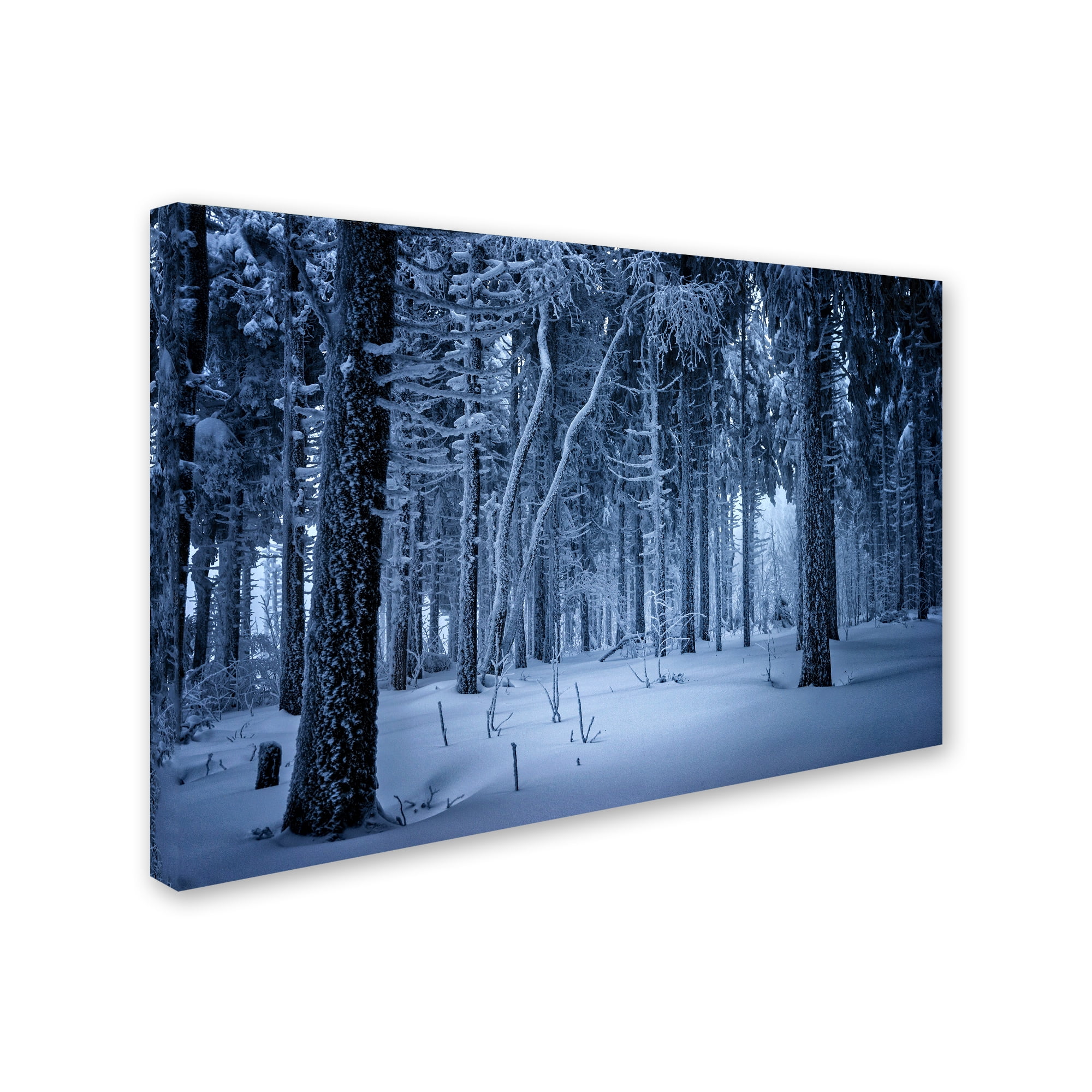 Trademark Fine Art 'Blue Frost' Canvas Art by Philippe Sainte-Laudy