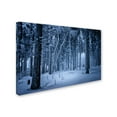 thumbnail image 2 of Trademark Fine Art 'Blue Frost' Canvas Art by Philippe Sainte-Laudy, 2 of 3