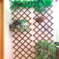 thumbnail image 4 of Garden Trellis Expandable Plant Climbing Lattice Trellis Fence Support (200 x 30cm), 4 of 5