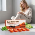 thumbnail image 6 of Ant Traps Indoor & Outdoor Gel Station Insect Control System – Long Lasting Pest Management Solution (1PC), 6 of 8