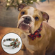 thumbnail image 5 of Collar ajustable para mascotas con regalo de flores para perros pequeños y medianos MFZFUKR CPB-US-YY216-3, 5 of 5