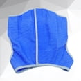thumbnail image 2 of Chaqueta de enfriamiento para mascotas Arnés para enfriamiento con hielo para perros Chaleco de malla para mascotas con cinta mágica - Talla S (azul), 2 of 5