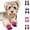 Pink, variant on Bisitoy Dog Shoes for Hot Pavement, 4Pcs Anti-Slip Sole Booties for Small Dogs Summer Walking