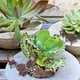 thumbnail image 5 of 10 piezas de muebles de jardín en miniatura, mini mesas y sillas, figuras en miniatura, decoración de resina, adornos de micro paisaje., 5 of 8