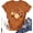 3 Brown, variant on Womens Halloween Fall Shirt Funny Ghost Pumpkin Graphic T-Shirt Tops(L,6 Brown)