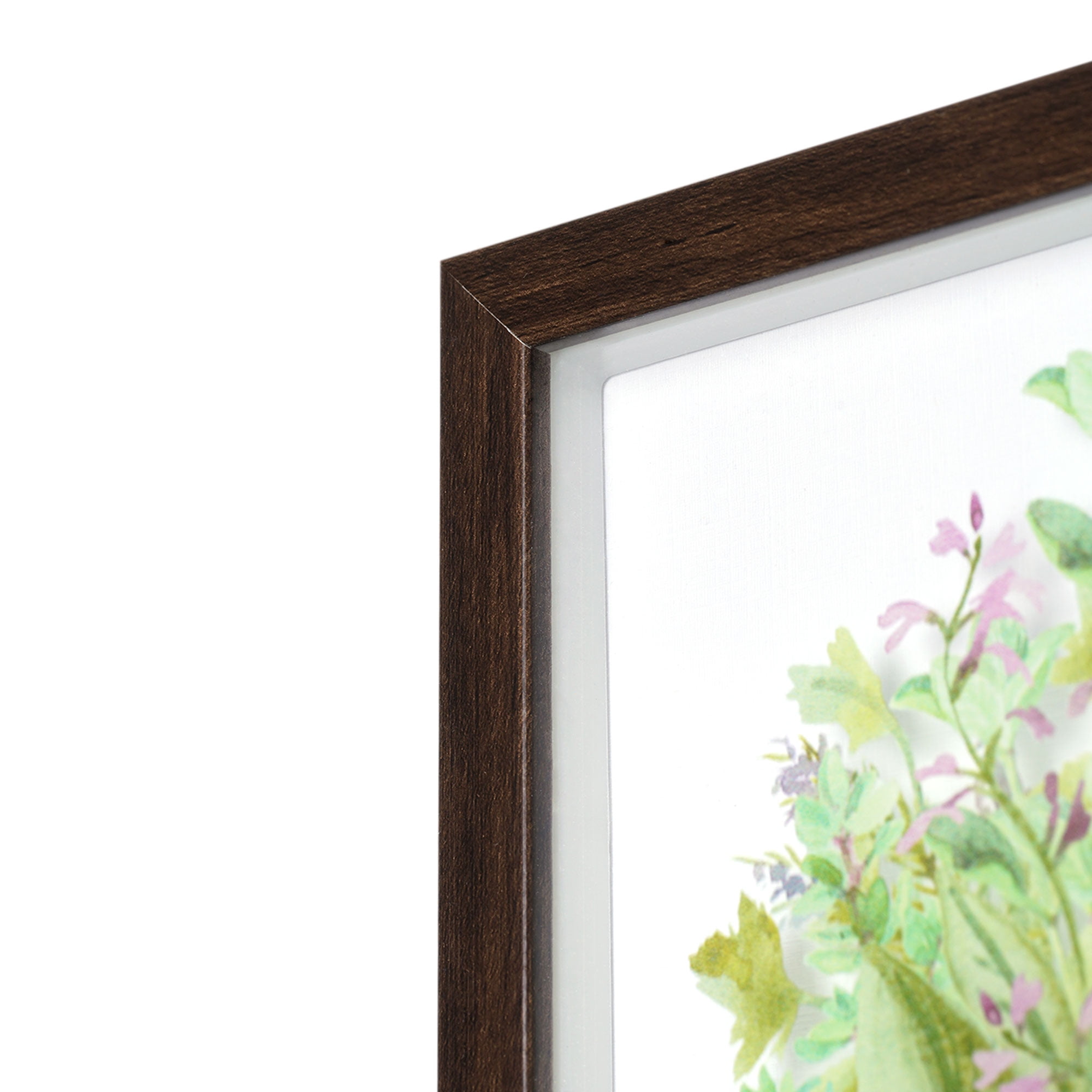 Crystal Art Gallery Contemporary Potted Plants Set of 2 Framed Glass Prints, Greens