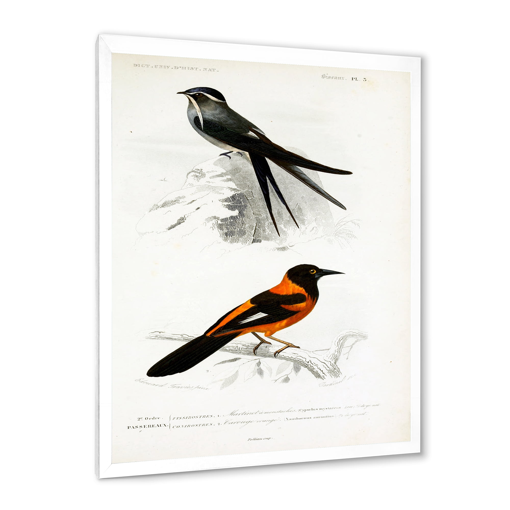 Designart 'Ancient Bird II' Traditional Framed Art Print