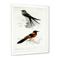 thumbnail image 2 of Designart 'Ancient Bird II' Traditional Framed Art Print, 2 of 4