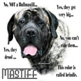 thumbnail image 3 of CafePress - Brindle Mastiff FAQ - 15 oz Ceramic Large White Novelty Mug, 3 of 6