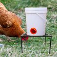 thumbnail image 4 of BESTYASH Soporte Metálico Negro Para Bebedero Y Comedero De Gallinas Fácil De Montar Y Mantener, 4 of 8