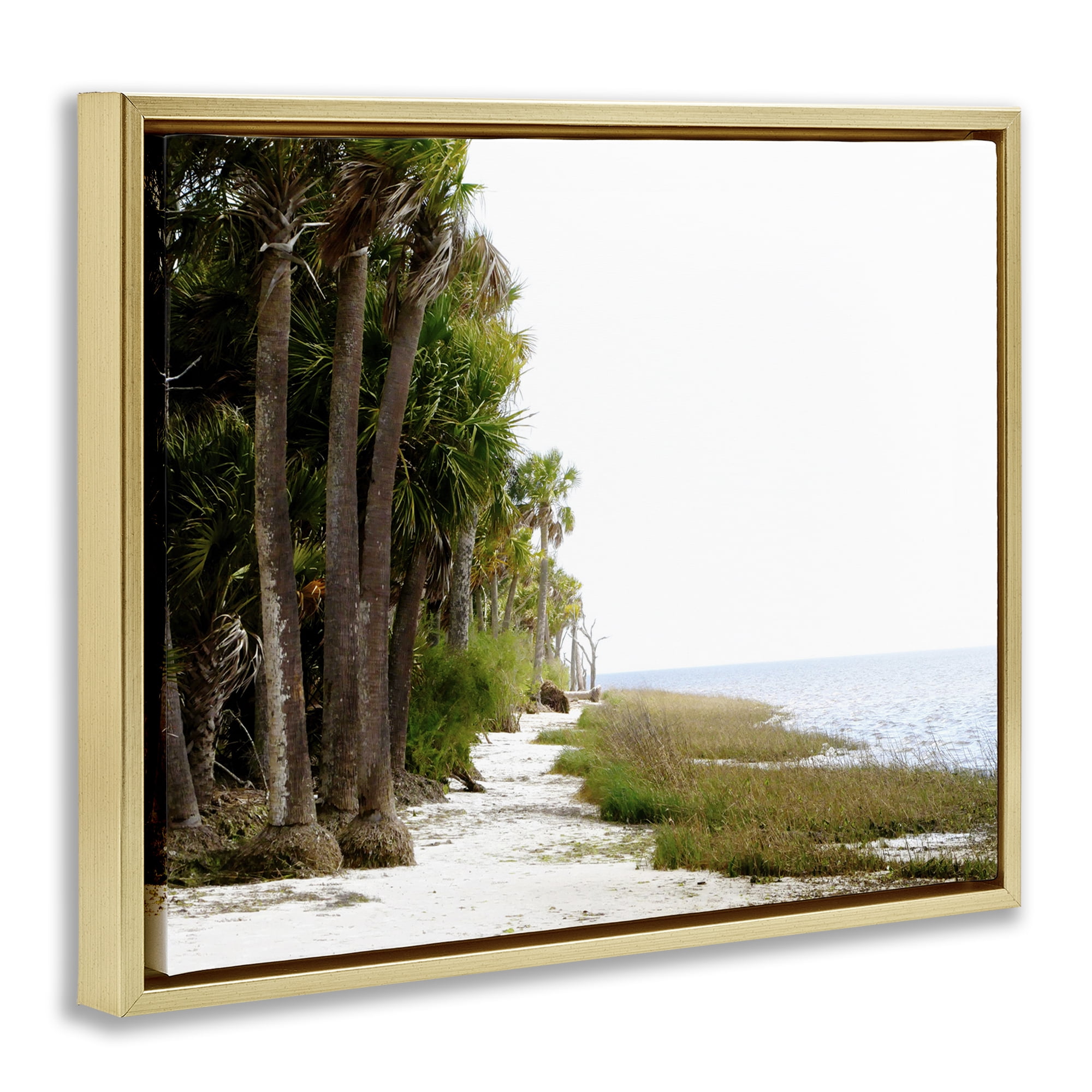 Stupell Industries Palm Beach Path Landscape Photography Gold Floater Framed Canvas Art Print Wall Art, 31 x 25