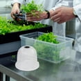 thumbnail image 4 of WHAMVOX 4Pcs Mini Greenhouse Cloche Plastic Garden Dome for Temperature Control Gardening, 4 of 8