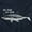 Navy, variant on Funny Shark Soundtrack Da Dum Da Dum Toddler Boy Girl T Shirt Infant Toddler Brisco Brands 6M