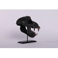 thumbnail image 6 of Monkey Baboon Skull Life Size Statue, 6 of 11