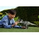 thumbnail image 2 of Figura de dinosaurio Mattel Jurassic World Rebirth Tyrannosaurus Rex, 2 of 6