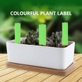View all media