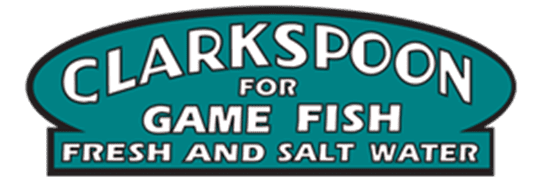 Clarkspoon Saltwater Spoon 3'' #00 Chrome 3pk