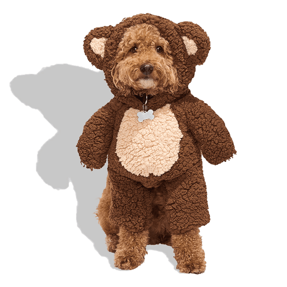 Petco Teddy Bear Illusion Pet Halloween Costume X-Small