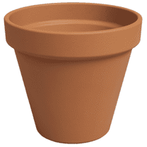 Artevasi 2 inch Round Terracotta Clay Flower Pot With Drainage Hole for Indoor and Outdoor Use