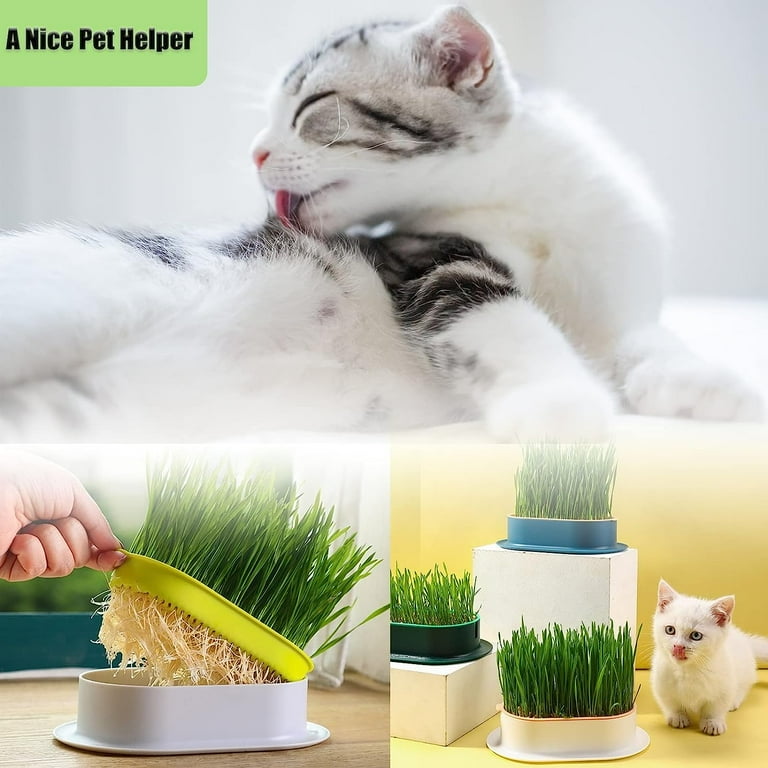 colorful indoor planter AquaCore Self-Watering Planter | Modern 2-Layer Design main image 1