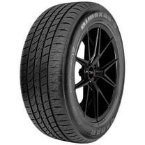 225/65R16 Radar Dimax AS-8 100H SL Black Wall Tire
