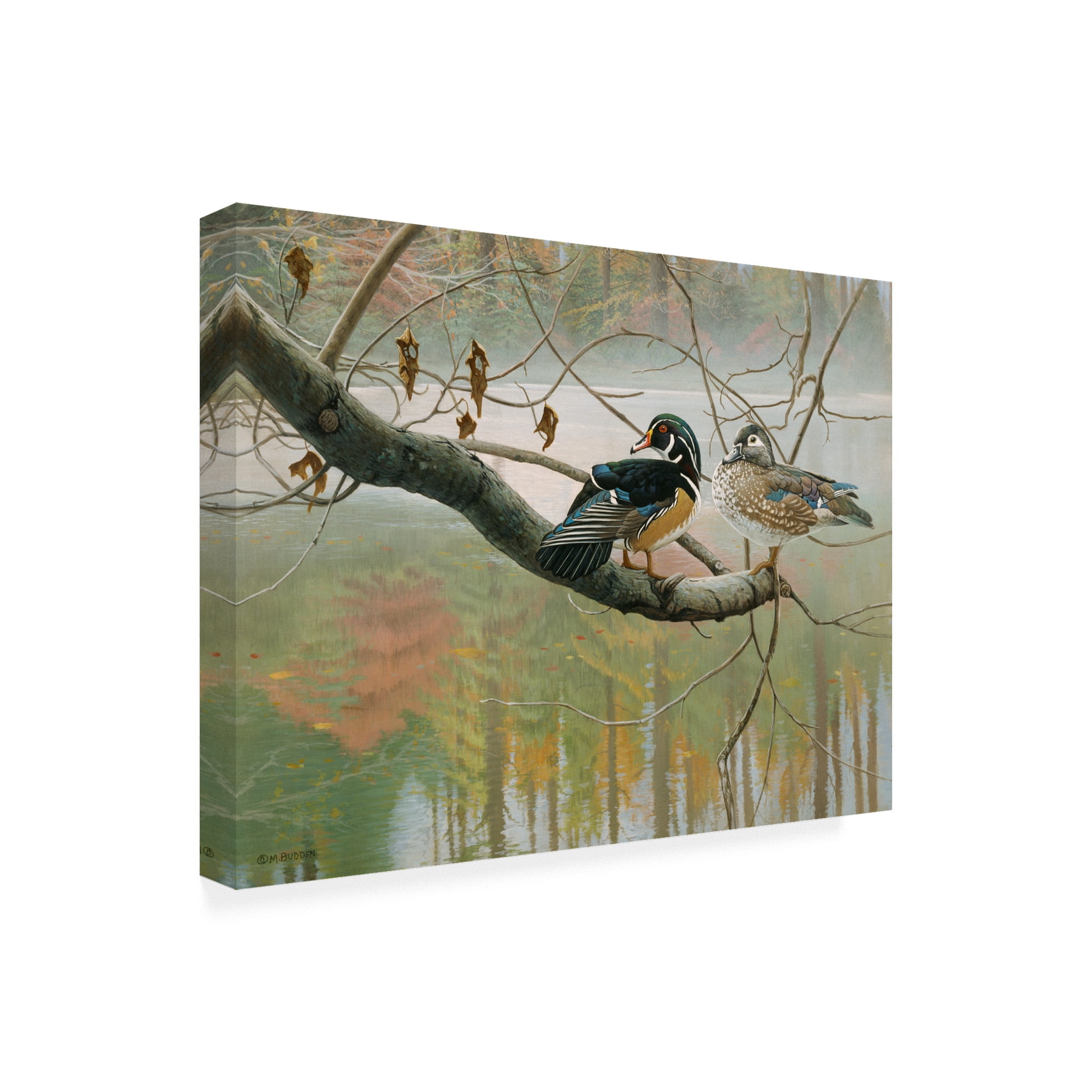 Trademark Fine Art 'Colors Of Autumn Duck' Canvas Art by Michael Budden