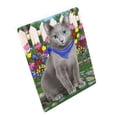 thumbnail image 1 of Couverture Chat Bleu Russe à Fleurs Printanières BLNKT86727, 1 of 3