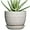 Palindrome White, variant on Plant Pot 5 Inch - Ceramic Planter for Indoor Plants Outdoor, Succulent Orchid Pot with Drainage Hole and Saucer, Round Flower Pot for Home Decor, Blue
