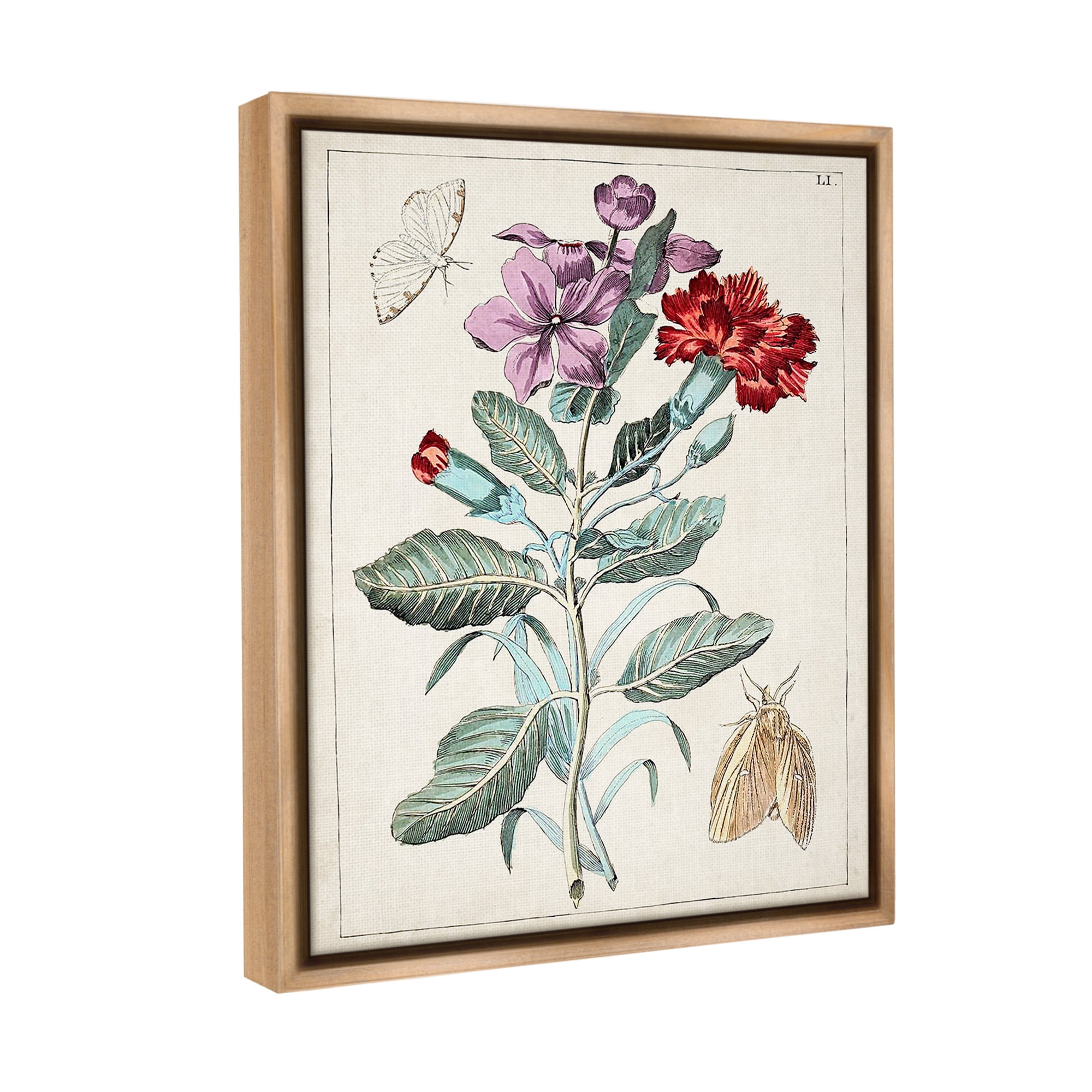 Stupell Industries Vintage Moths with Flowers Botanical & Floral Painting Brown Floater Framed Canvas Art Print Wall Art, 25 x 31