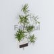 thumbnail image 2 of For 1m Ribbon Magnet Magnetic Flexible Roller Strip Magnet Adhesive Strip 10x15mm, 2 of 5